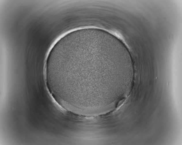 X0000086971516200704301247