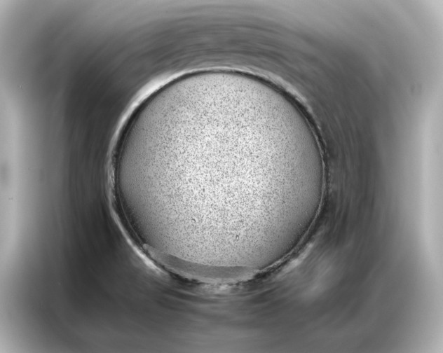 X0000086971517200704301247