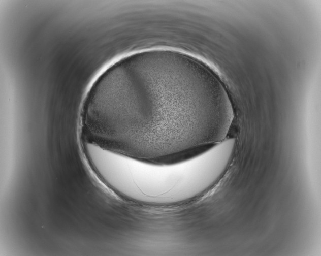 X0000086971518200704301247