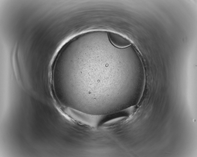 X0000086971519200704301247