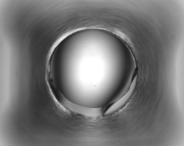 X0000086971520200704301247