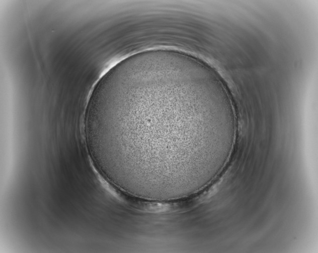 X0000086971521200704301247