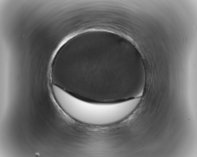 X0000086971522200704301247