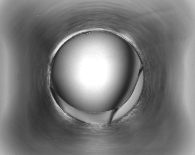 X0000086971524200704301247