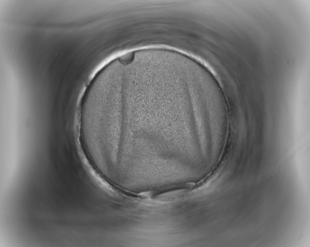 X0000086971526200704301247