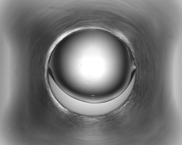 X0000086971528200704301247