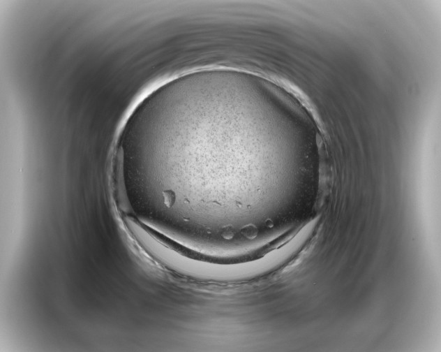 X0000086971530200704301247