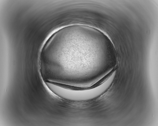 X0000086971531200704301247