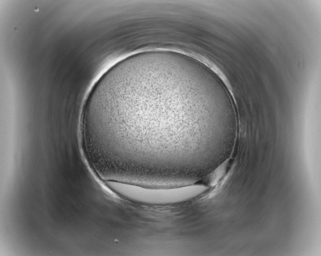 X0000086971533200704301247