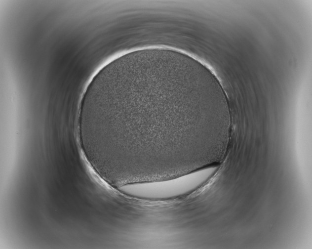 X0000086971534200704301247