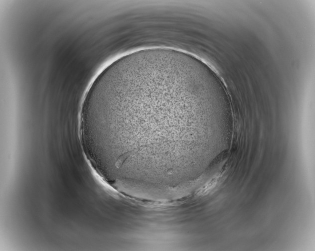 X0000086971535200704301247