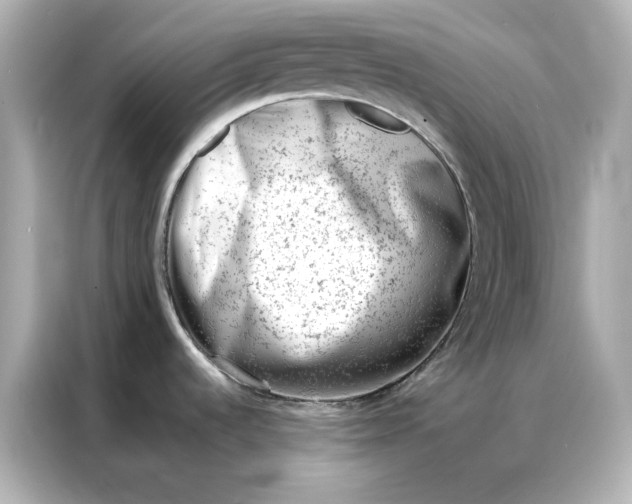 X0000086971536200704301247