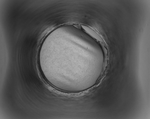 X0000086970001200705071406