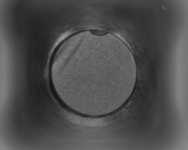 X0000086970008200705071406