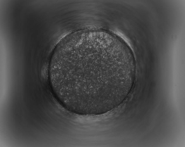 X0000086970009200705071406