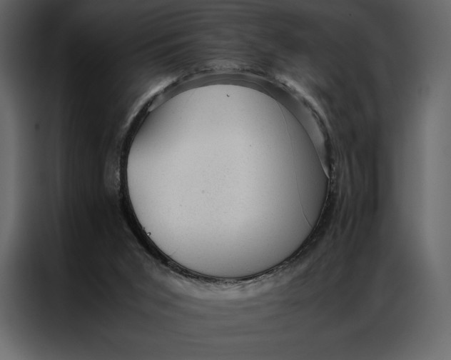 X0000086970015200705071406