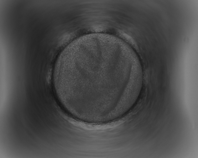 X0000086970018200705071406