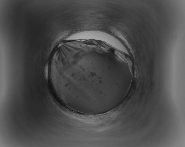 X0000086970019200705071406