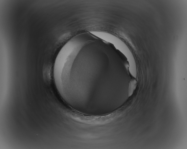 X0000086970023200705071406