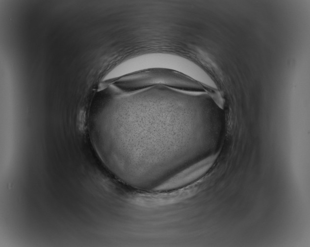 X0000086970025200705071406