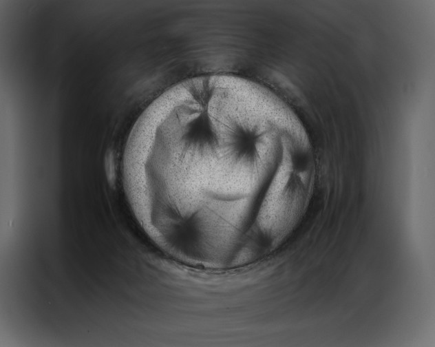 X0000086970026200705071406