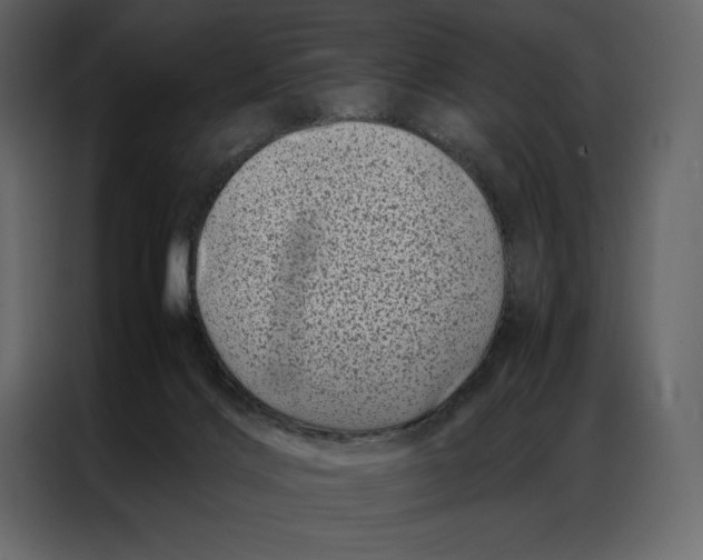 X0000086970028200705071406