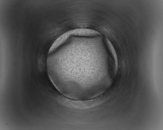 X0000086970030200705071406