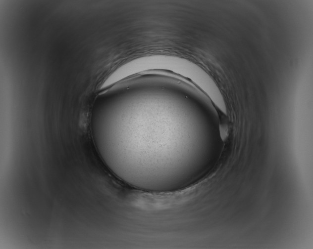 X0000086970033200705071405