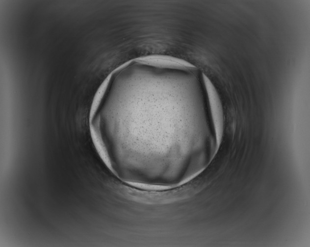 X0000086970034200705071405