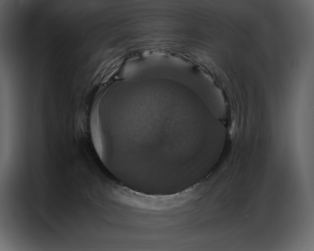 X0000086970035200705071405