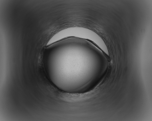 X0000086970037200705071405