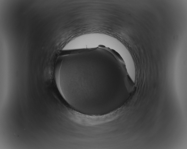 X0000086970039200705071405