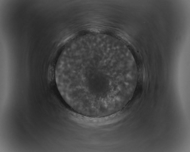 X0000086970043200705071405