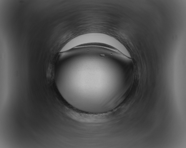 X0000086970044200705071405