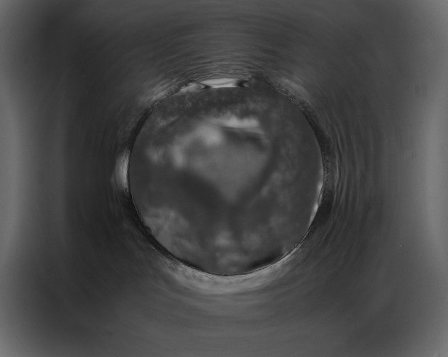 X0000086970047200705071405