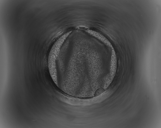 X0000086970048200705071405