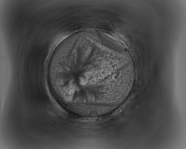 X0000086970049200705071405