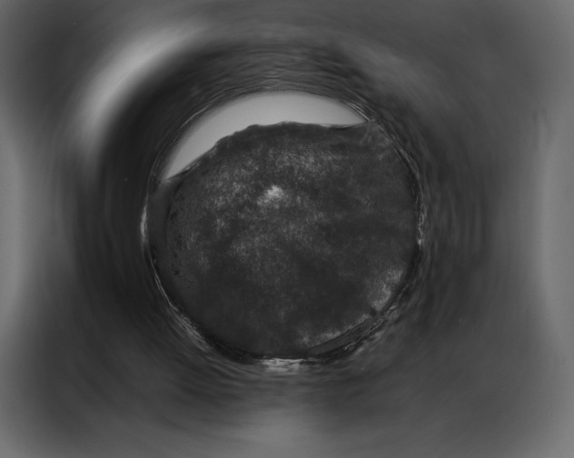 X0000086970052200705071405