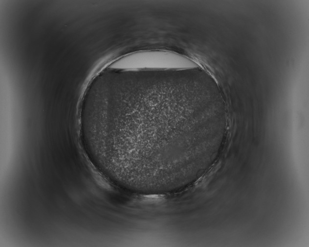 X0000086970053200705071405