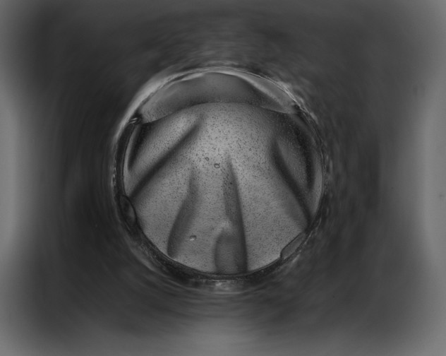 X0000086970056200705071405