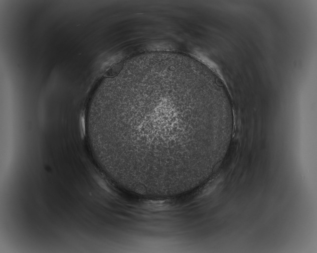 X0000086970061200705071405