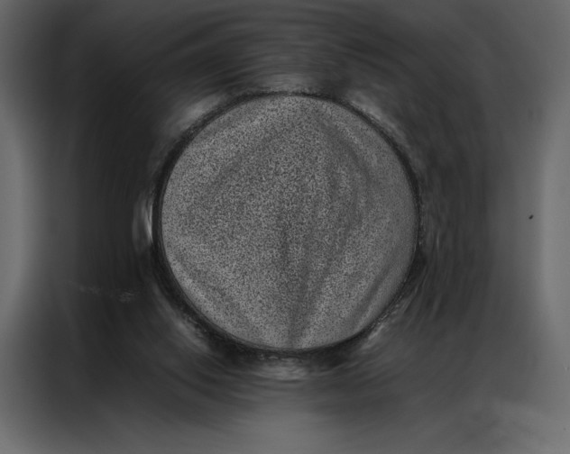 X0000086970062200705071405