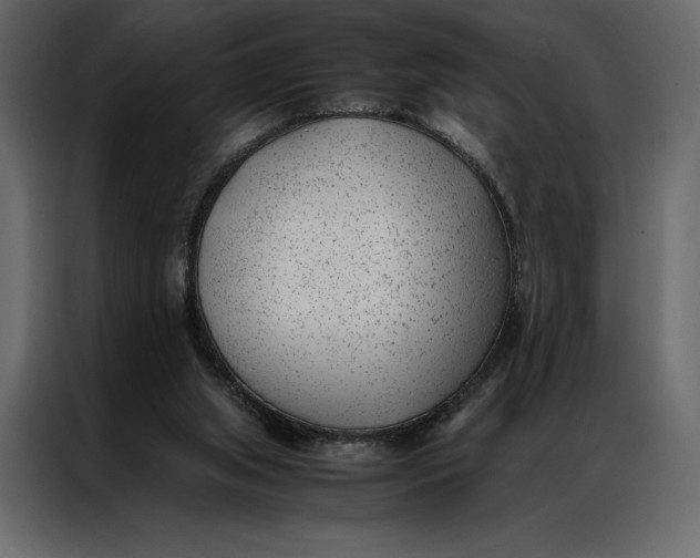 X0000086970063200705071405