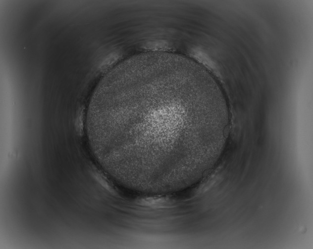 X0000086970065200705071405