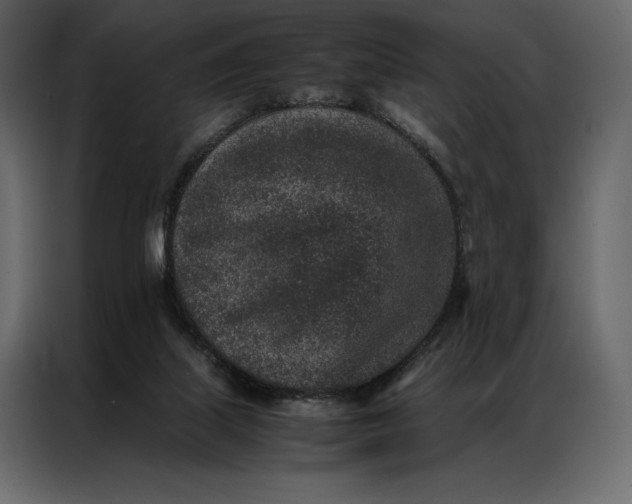 X0000086970067200705071405