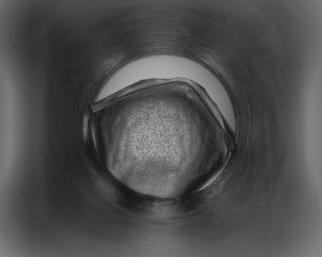 X0000086970070200705071405