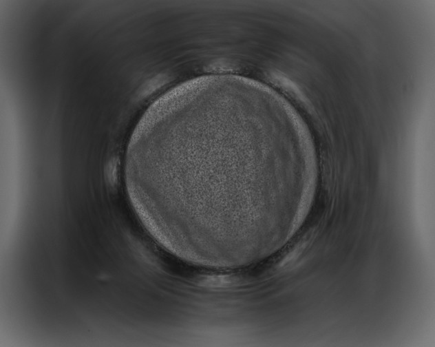 X0000086970071200705071405