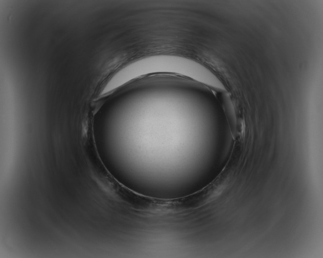 X0000086970072200705071405