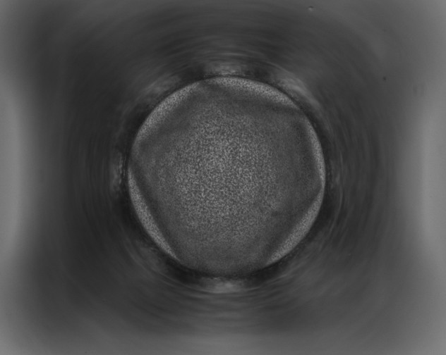 X0000086970073200705071405