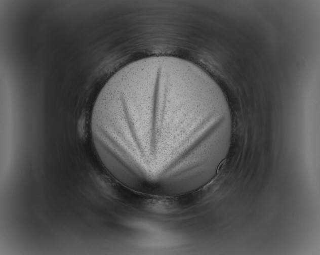 X0000086970074200705071405